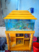 Fish aquarium